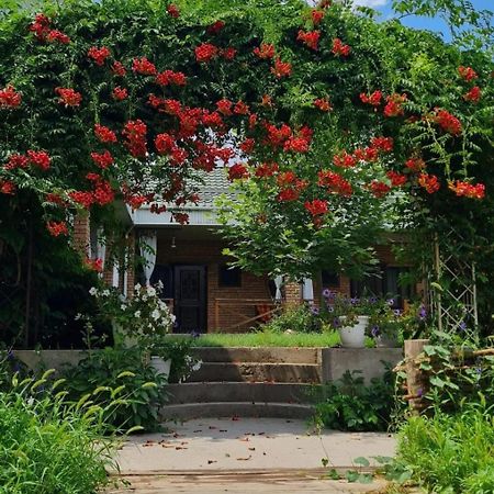 فندق Arman Saryaghash المظهر الخارجي الصورة